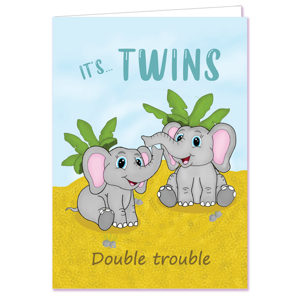 Elephant Twins